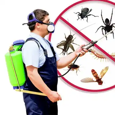 pest control Holiday Valley